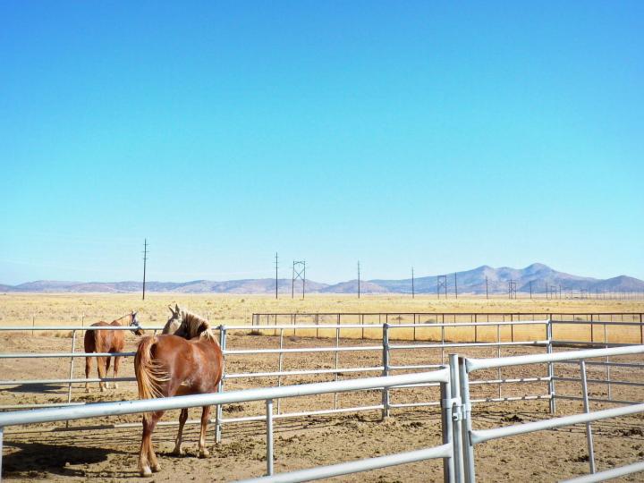 12455 N Antelope Meadows Dr, Prescott Valley, AZ | 5 Acres Or More. Photo 45 of 63