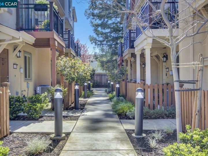 1252 Detroit Ave #1, Concord, CA, 94520 Townhouse. Photo 42 of 45