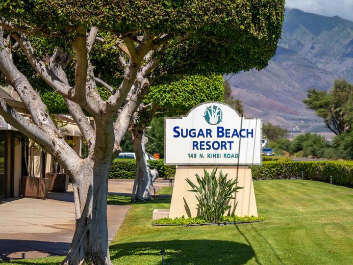 Sugar Beach Resort condo #103. Photo 19 of 29