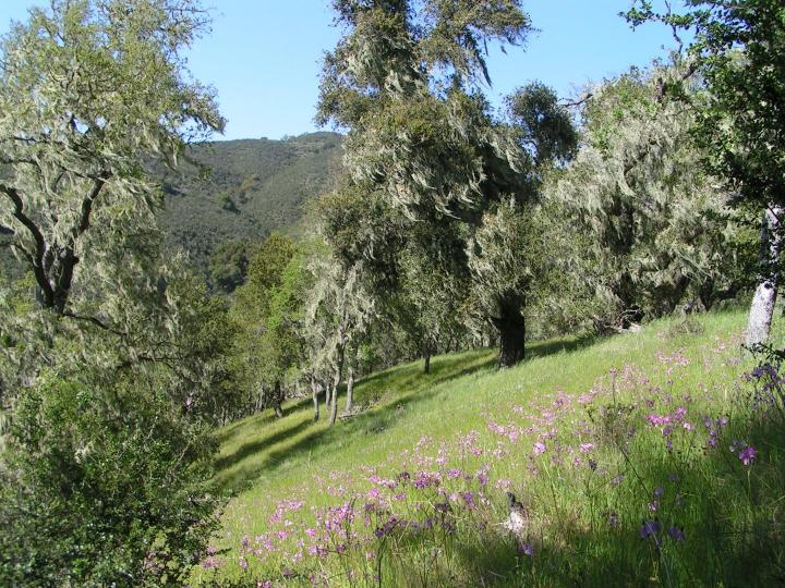 21435 Peroy Ranch Rd Carmel Valley CA. Photo 2 of 12