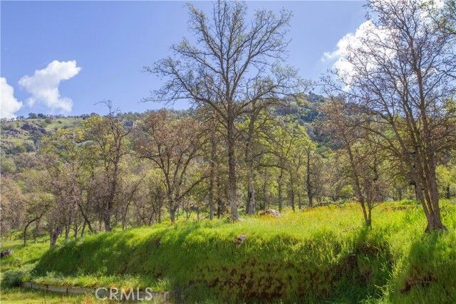 35171 Sand Creek Rd, Squaw Valley, CA | . Photo 50 of 55