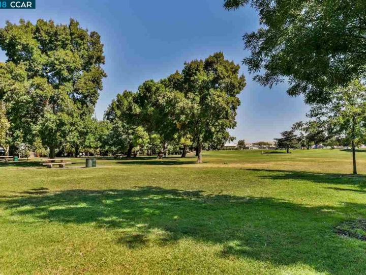 3678 Cowell Rd, Concord, CA | St. Frances Park. Photo 25 of 26