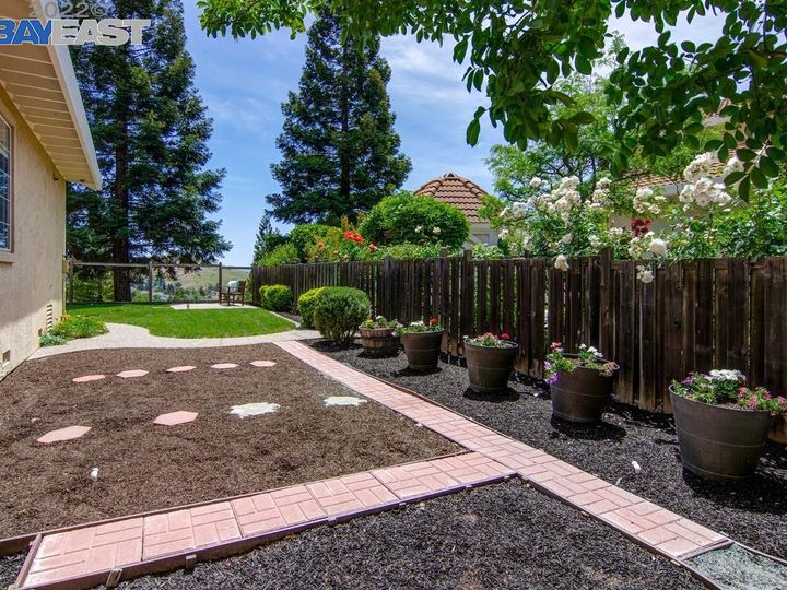 4020 Westminster Pl, Danville, CA | Bettencourt Rnch. Photo 39 of 51