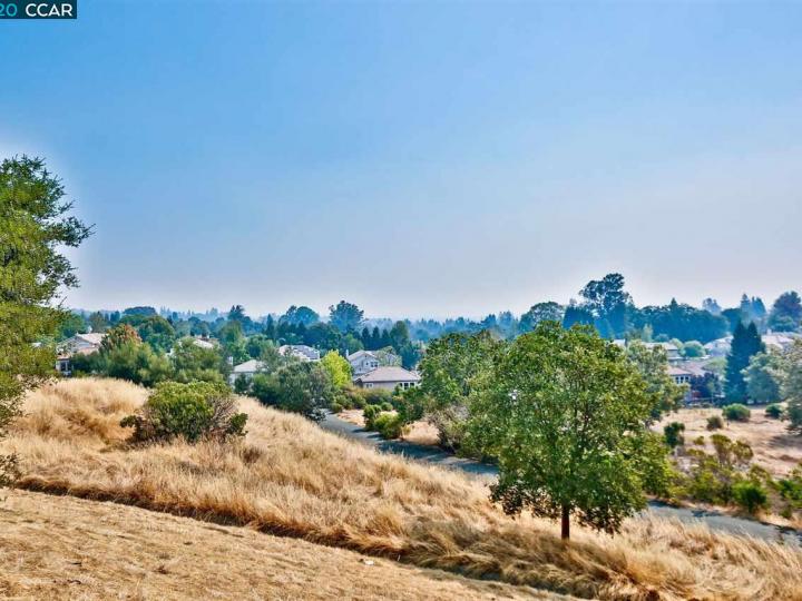 436 Iron Hill St, Pleasant Hill, CA | Grayson Woods. Photo 33 of 34