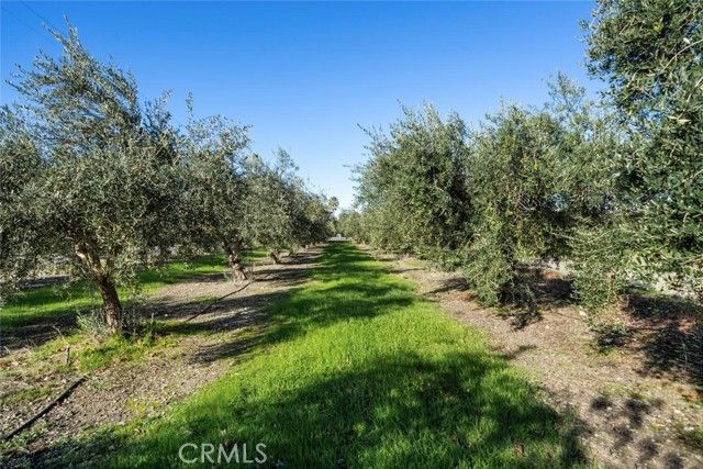 4594 County Road G, Orland, CA | . Photo 23 of 23