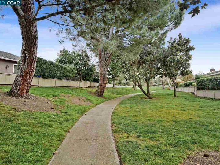 516 Rolling Hills Ln, Danville, CA | Crow Canyon C.c.. Photo 23 of 32