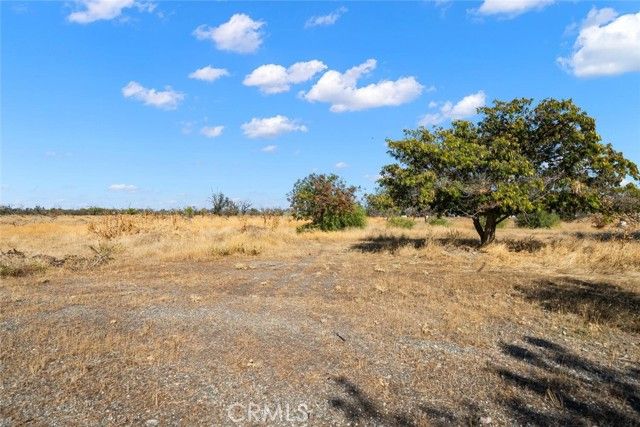 6324 County Road 9 Orland CA. Photo 2 of 18