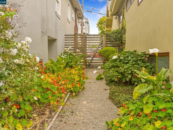 731 44th Ave, San Francisco, CA | Outer Richmond. Photo 36 of 39