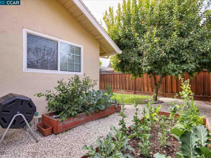 955 Oasis Dr, Concord, CA | Colony Park. Photo 27 of 40