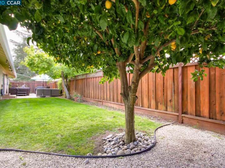 955 Oasis Dr, Concord, CA | Colony Park. Photo 35 of 40
