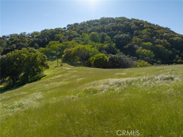 Mountain Springs Rd Paso Robles CA. Photo 12 of 27