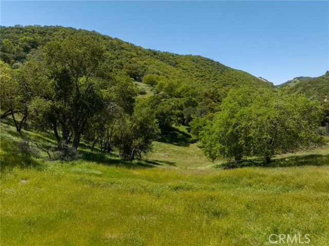 Mountain Springs Rd Paso Robles CA. Photo 16 of 27