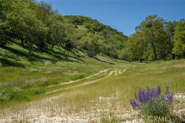 Mountain Springs Rd Paso Robles CA. Photo 19 of 27