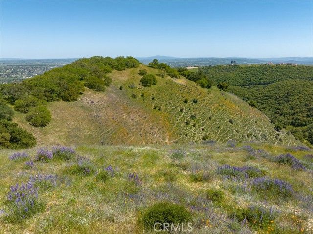 Mountain Springs Rd Paso Robles CA. Photo 23 of 27