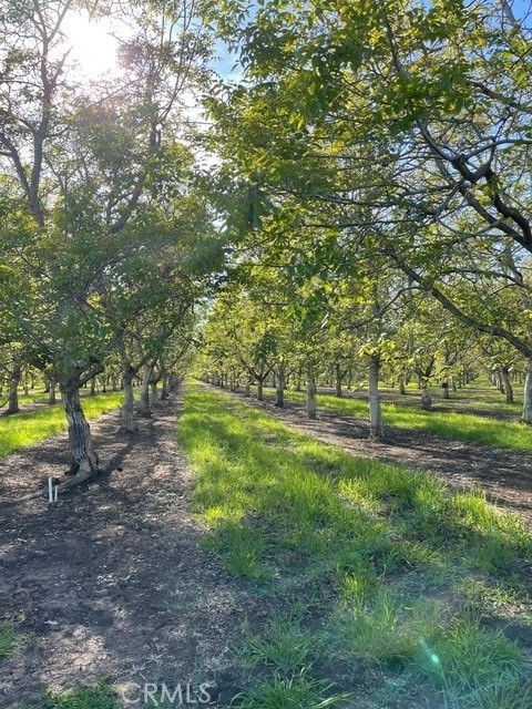 Orchard Blossom Ln Chico CA. Photo 2 of 4