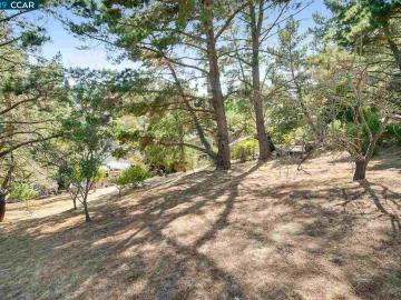 116 Rosemont Ct, Walnut Creek, CA | Secluded Valley. Photo 5 of 40