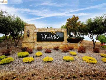 1654 Gamay Ln, Brentwood, CA | Trilogy Vineyards. Photo 2 of 38