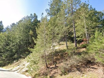 210 Blueberry Dr, Scotts Valley, CA