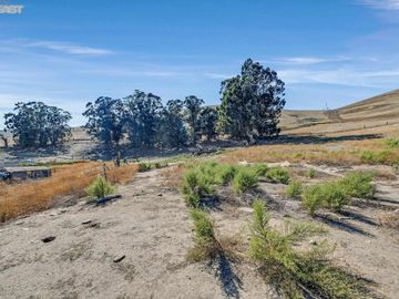 3200 Dyer Rd Livermore CA. Photo 6 of 43