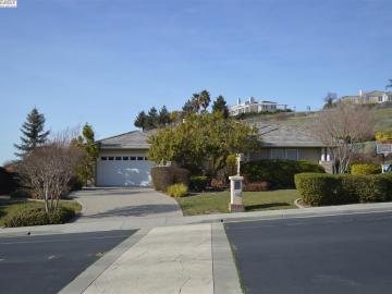 48329 Avalon Heights Ter, Fremont Area, CA