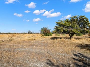 6324 County Road 9 Orland CA. Photo 2 of 18