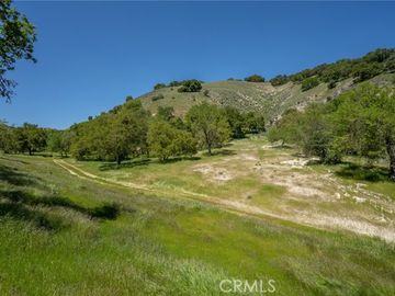 Mountain Springs Rd Paso Robles CA. Photo 6 of 27